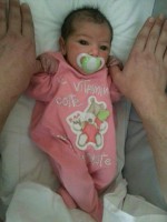 /album/galleria-fotografica/img-20140409-wa0036-jpg/